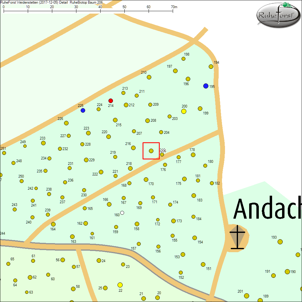 Detailkarte zu Baum 206