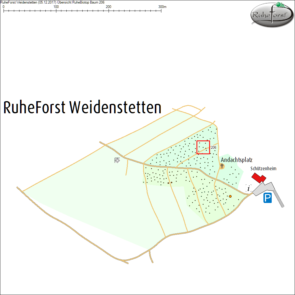 &Uuml;bersichtskarte zu Baum 206