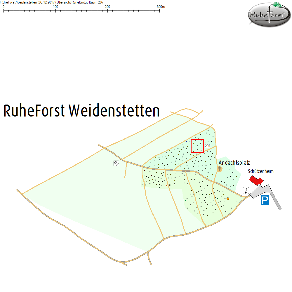 &Uuml;bersichtskarte zu Baum 207