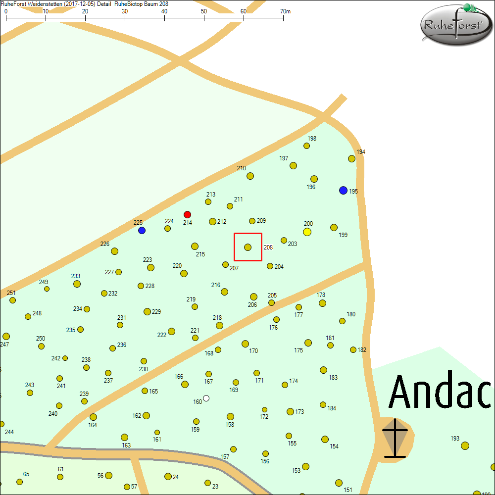 Detailkarte zu Baum 208