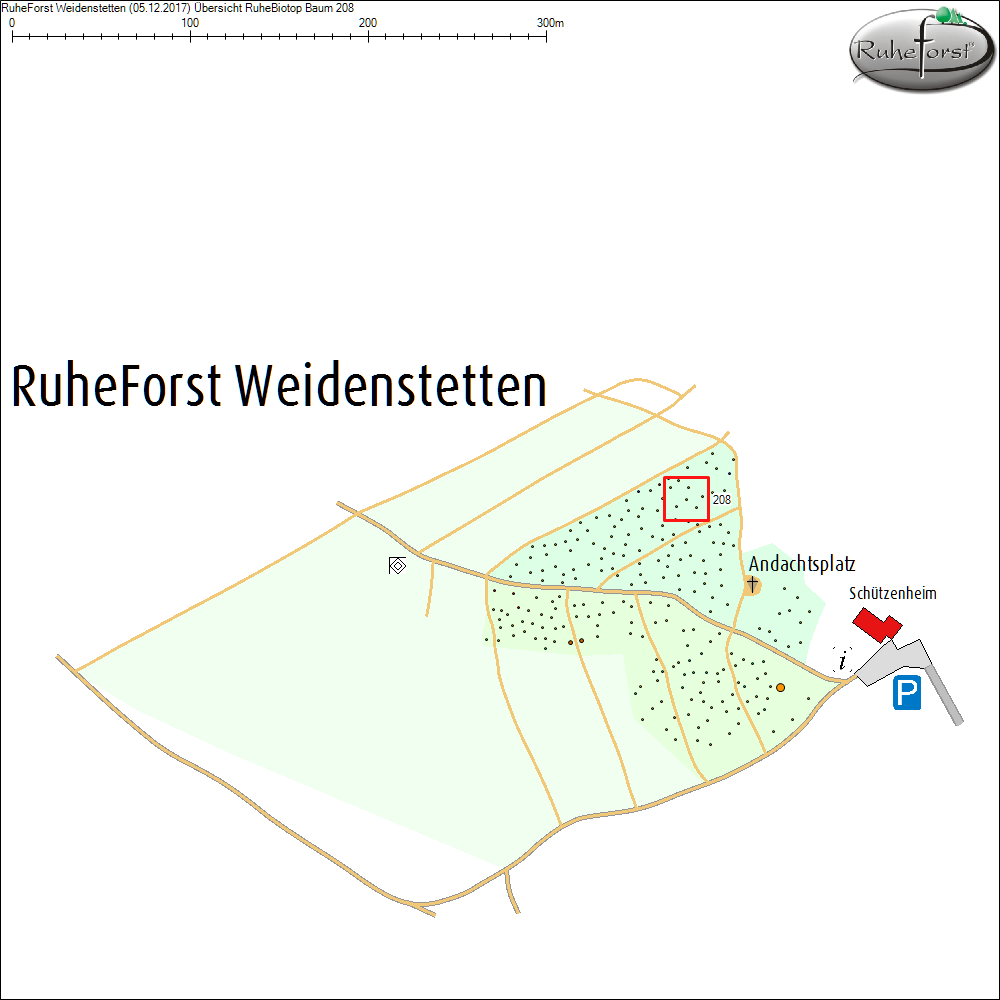 &Uuml;bersichtskarte zu Baum 208