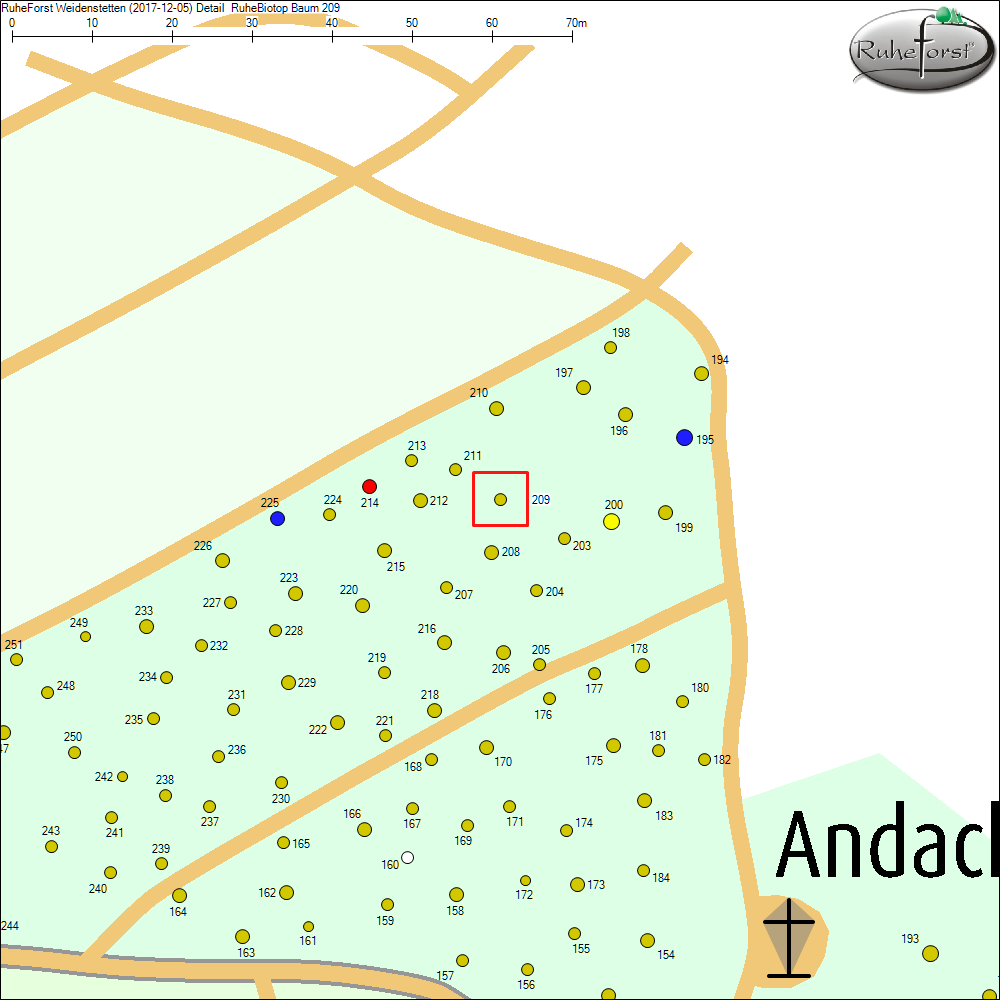 Detailkarte zu Baum 209