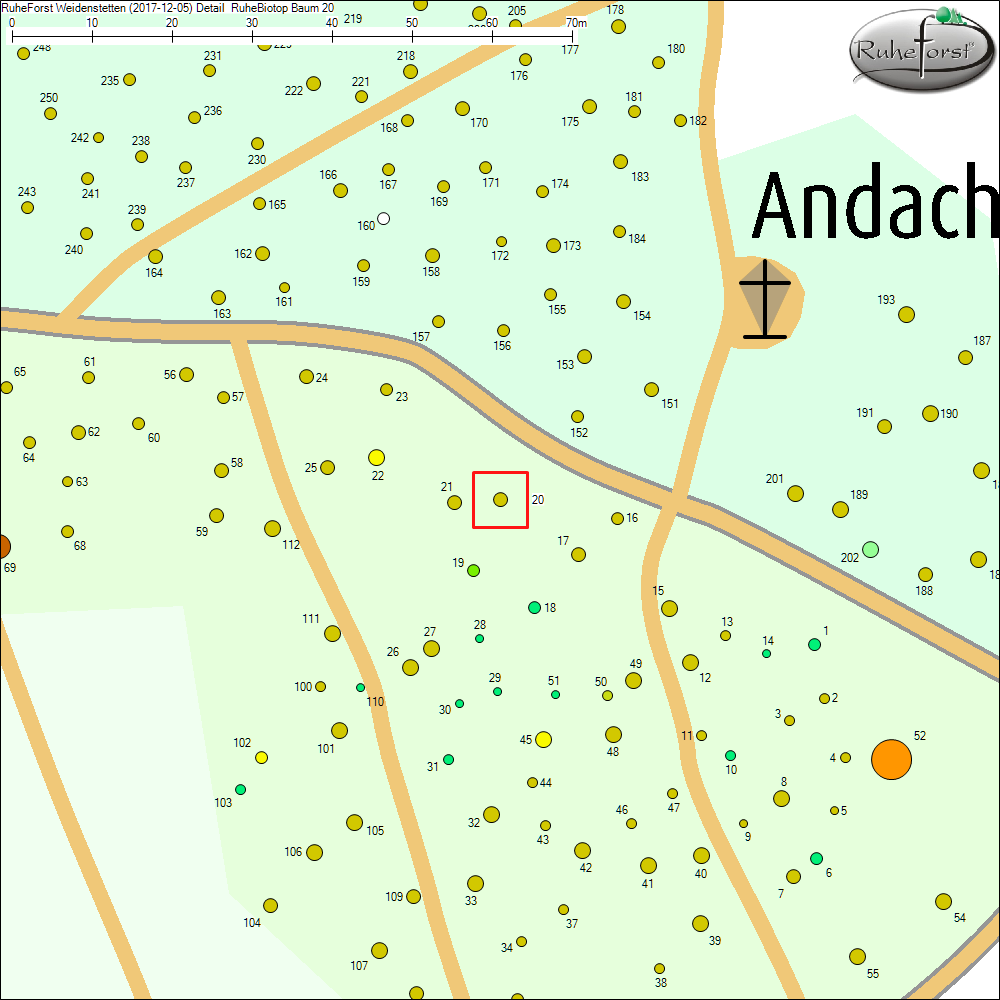 Detailkarte zu Baum 20