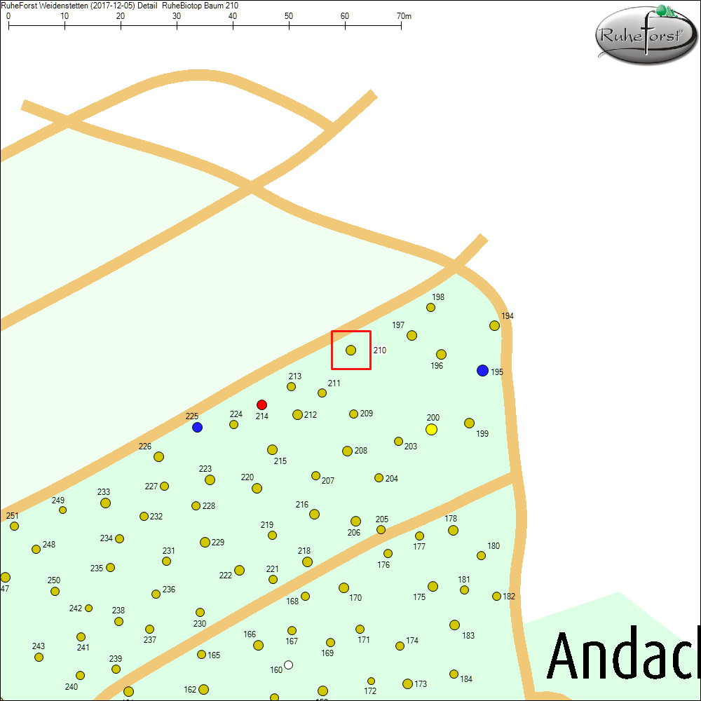 Detailkarte zu Baum 210