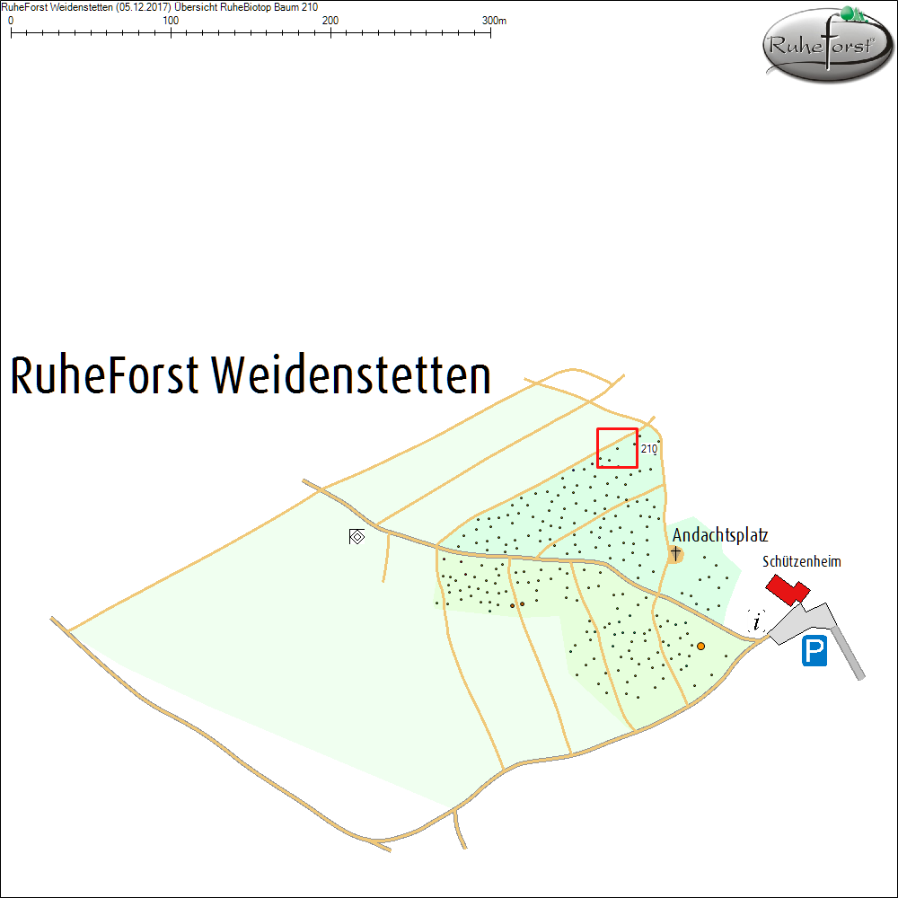 &Uuml;bersichtskarte zu Baum 210