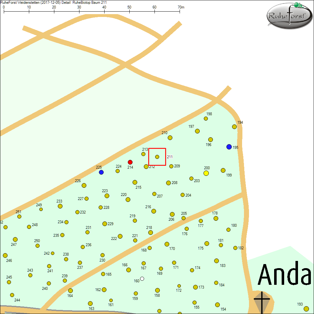 Detailkarte zu Baum 211
