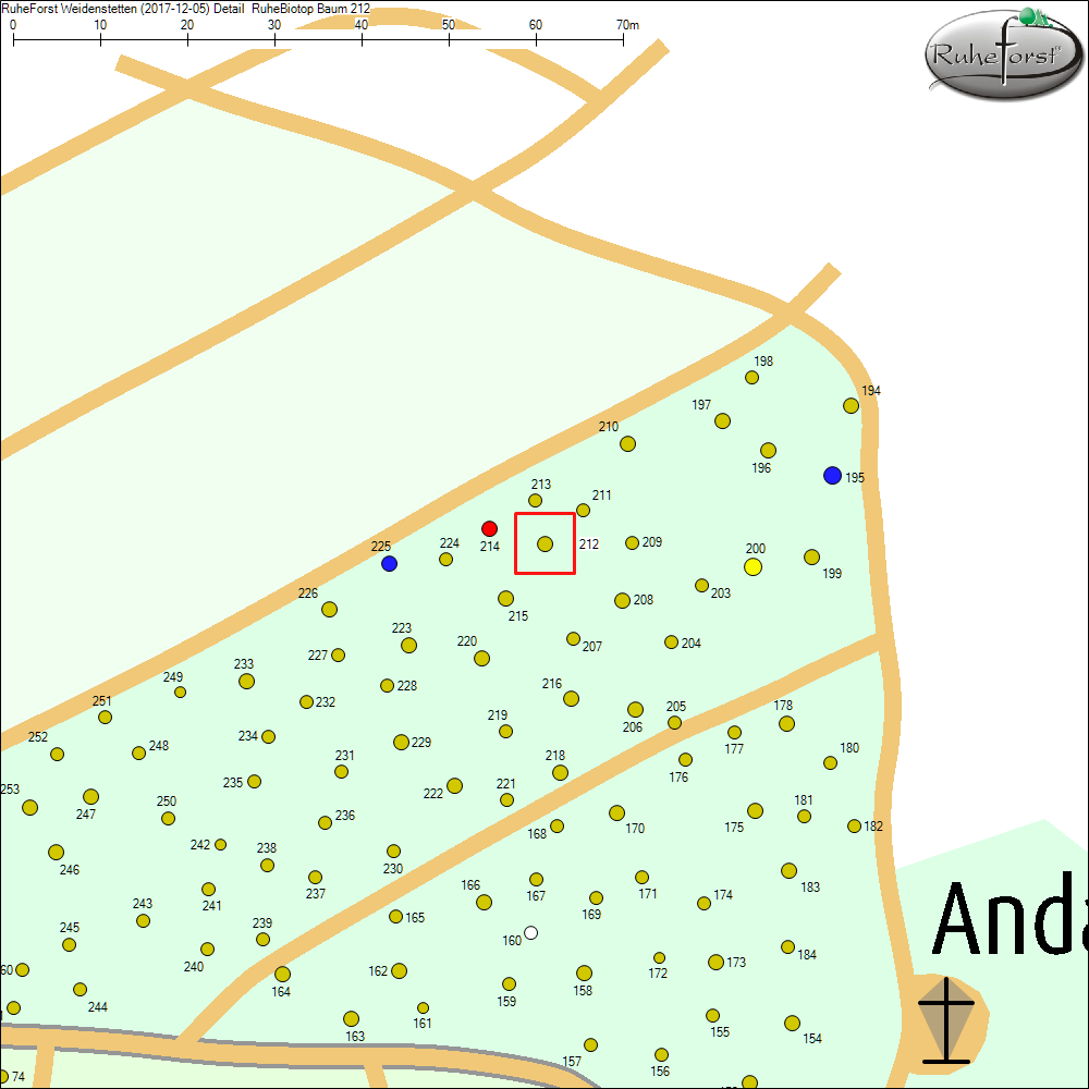Detailkarte zu Baum 212