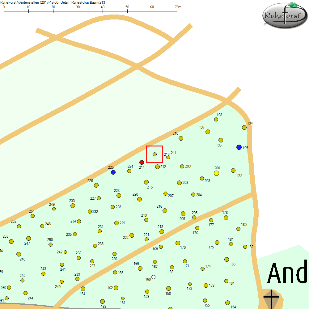 Detailkarte zu Baum 213