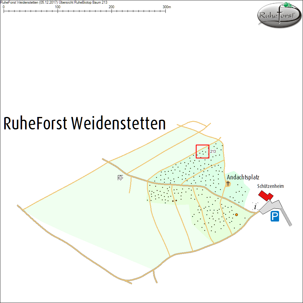 &Uuml;bersichtskarte zu Baum 213