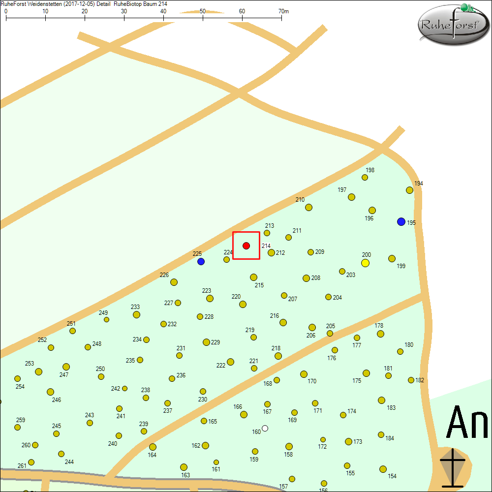Detailkarte zu Baum 214