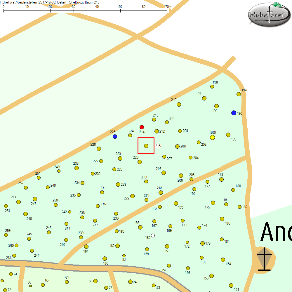 Detailkarte zu Baum 215