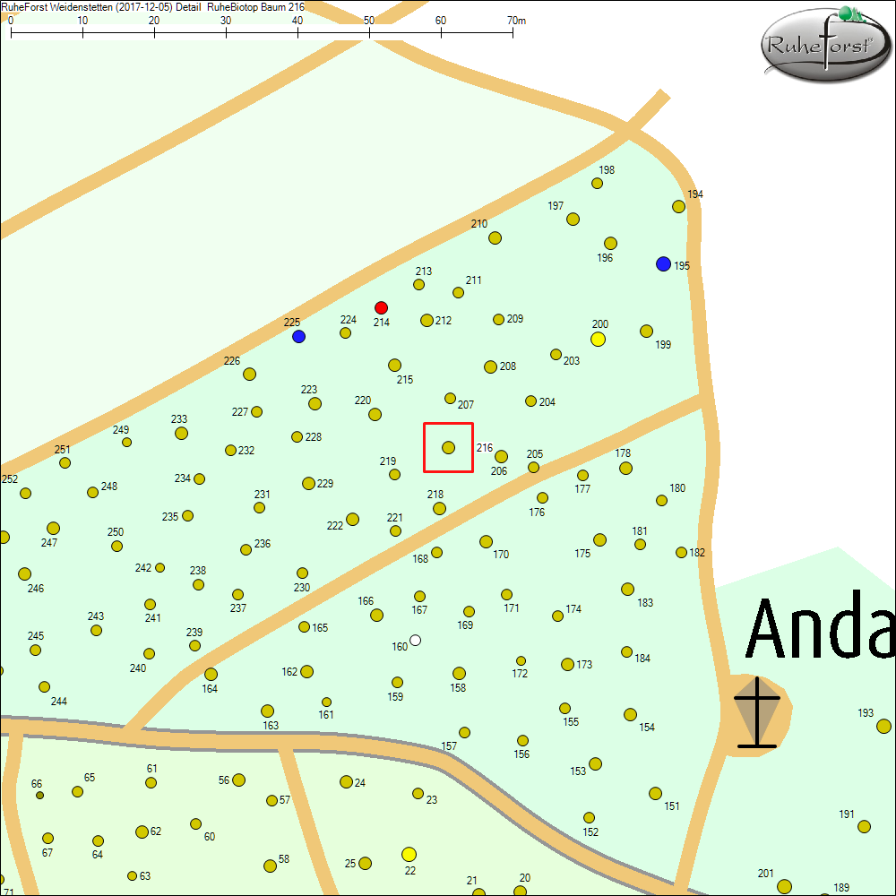 Detailkarte zu Baum 216