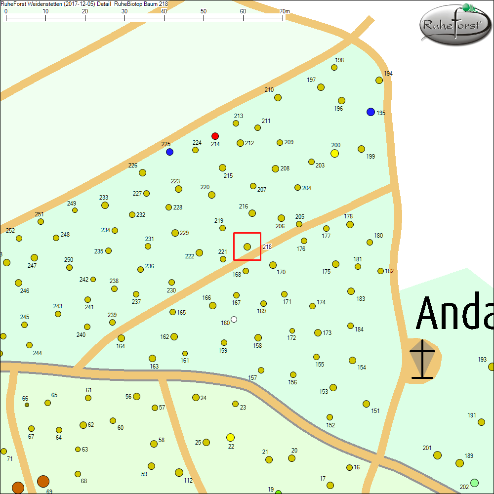 Detailkarte zu Baum 218