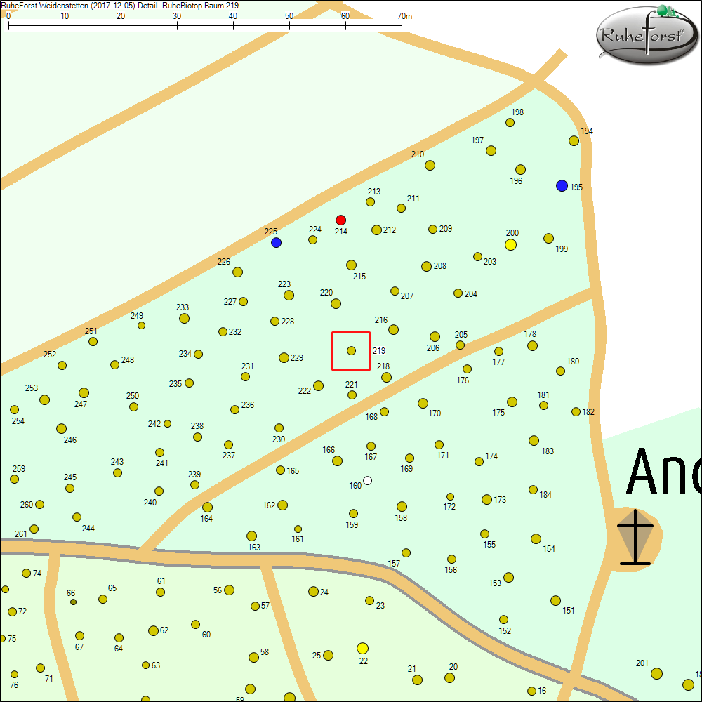 Detailkarte zu Baum 219