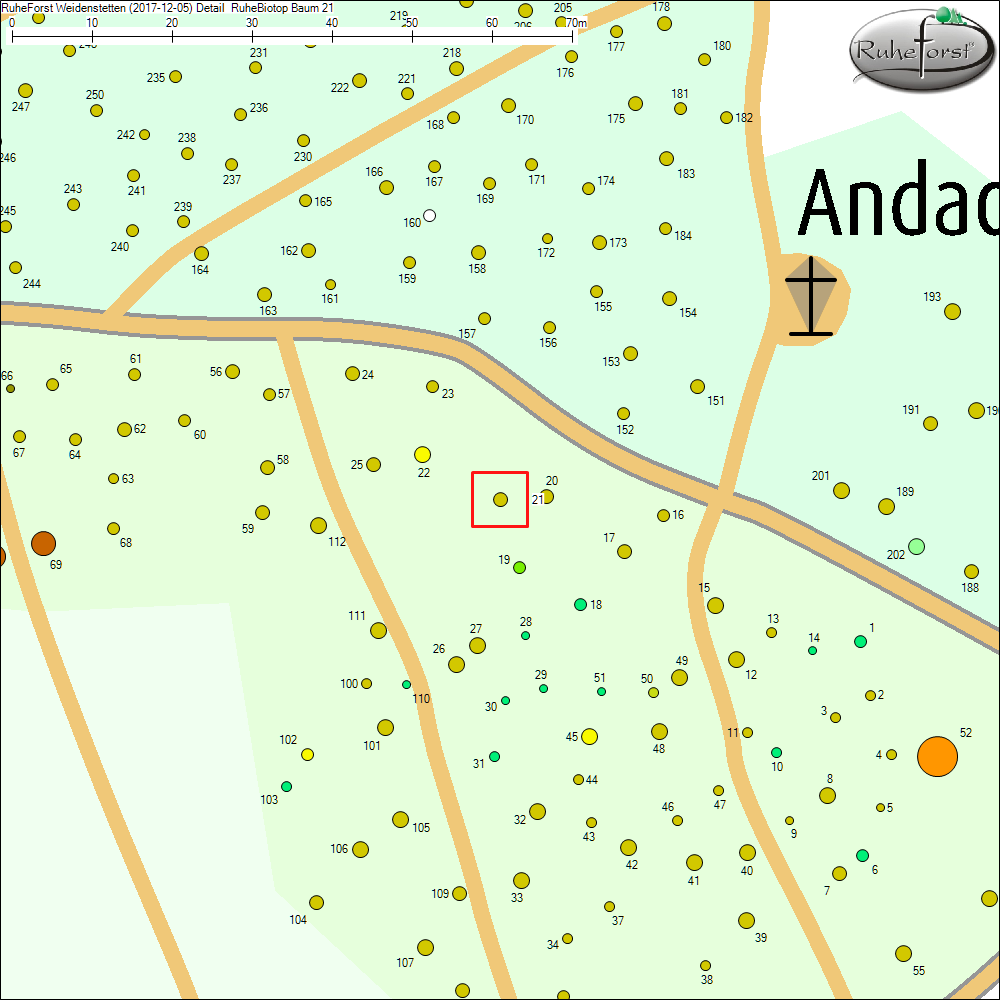 Detailkarte zu Baum 21