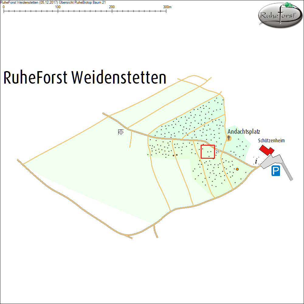&Uuml;bersichtskarte zu Baum 21