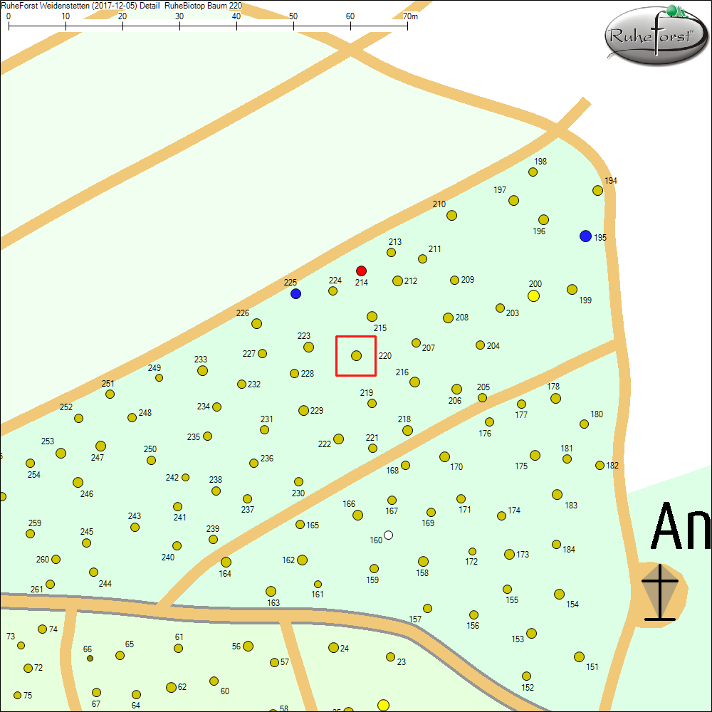 Detailkarte zu Baum 220
