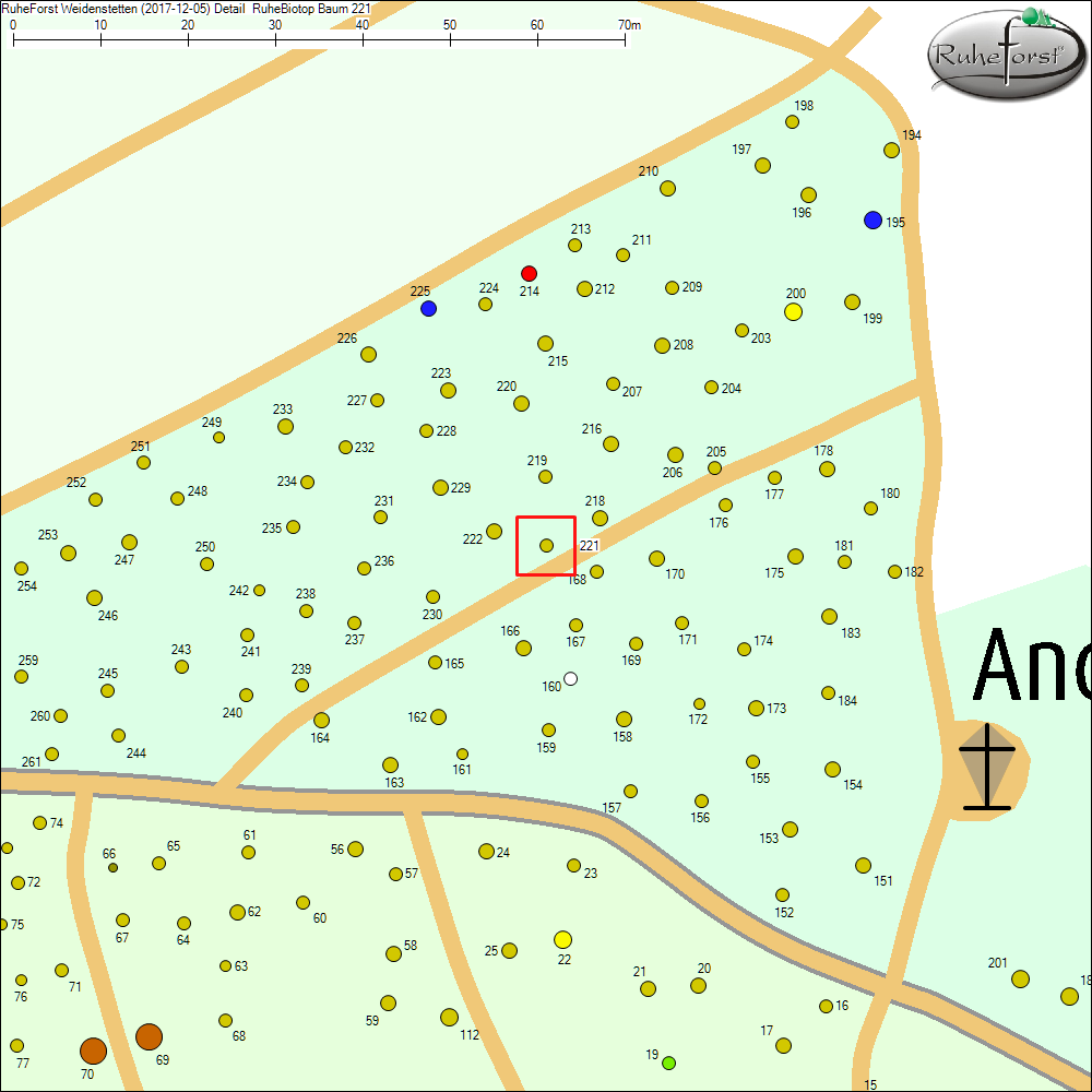 Detailkarte zu Baum 221