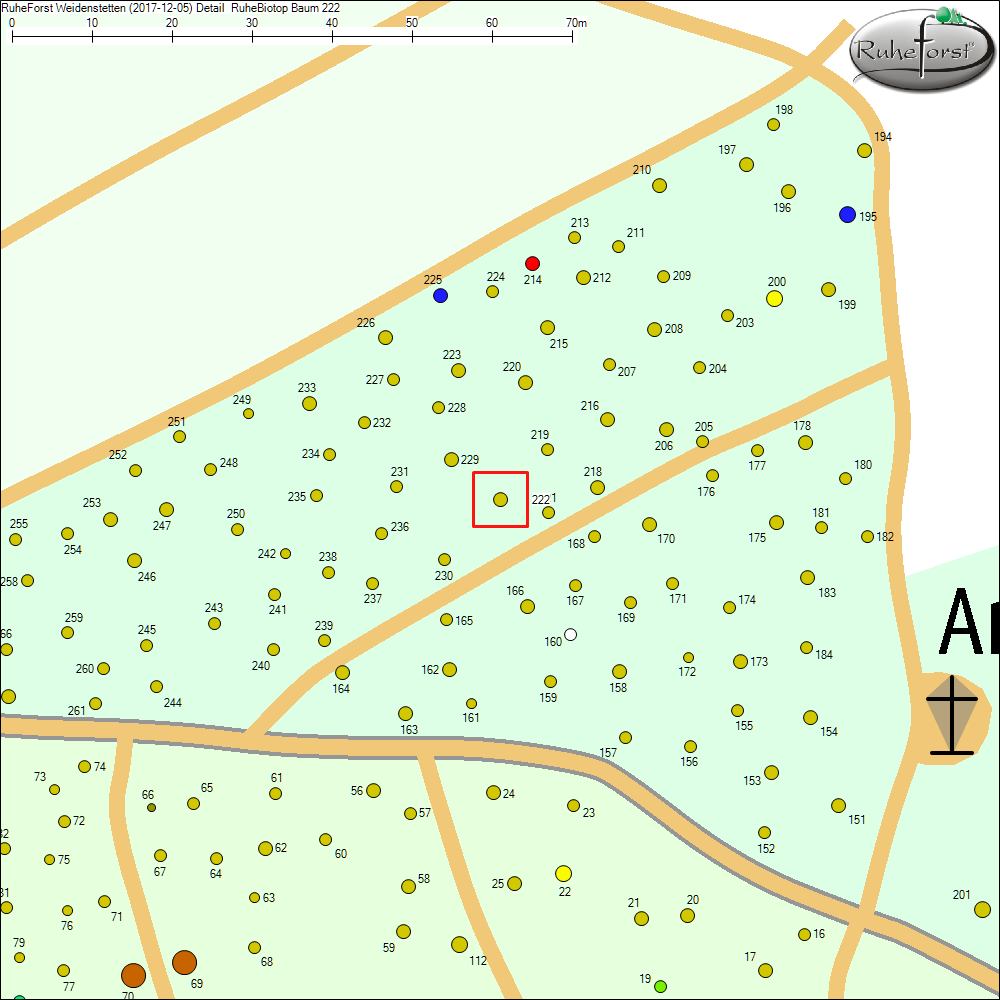 Detailkarte zu Baum 222