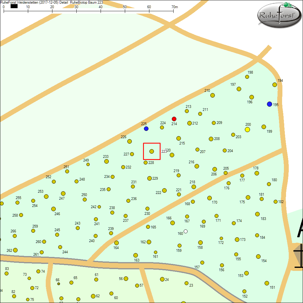 Detailkarte zu Baum 223