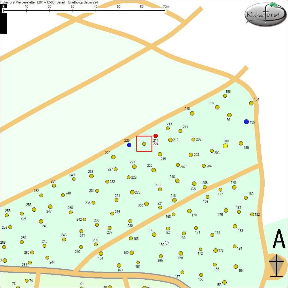 Detailkarte zu Baum 224