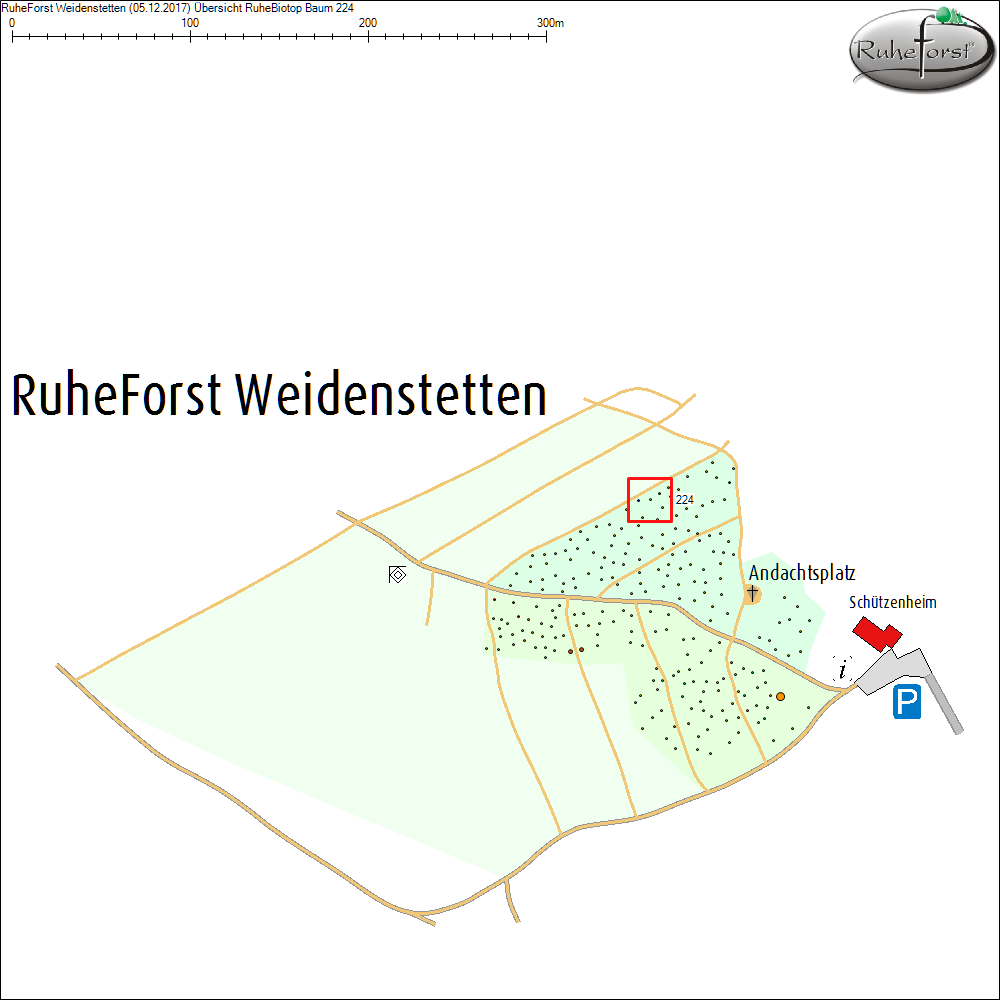 &Uuml;bersichtskarte zu Baum 224