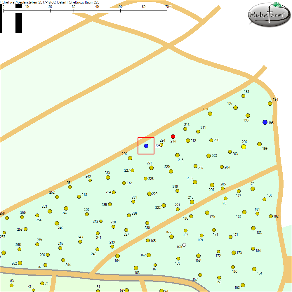 Detailkarte zu Baum 225