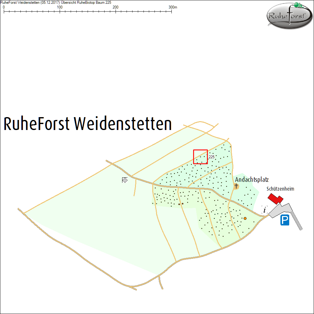 &Uuml;bersichtskarte zu Baum 225