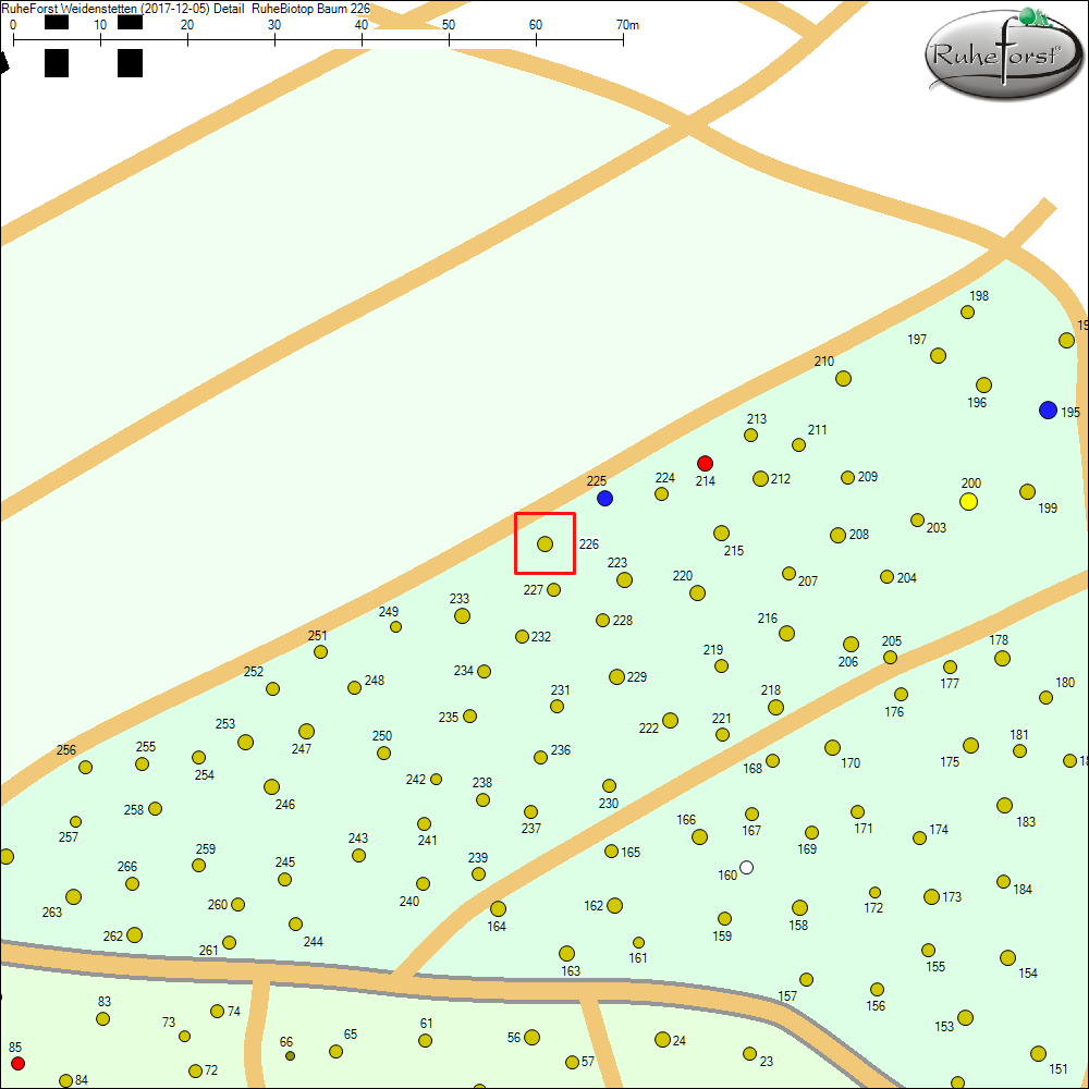 Detailkarte zu Baum 226