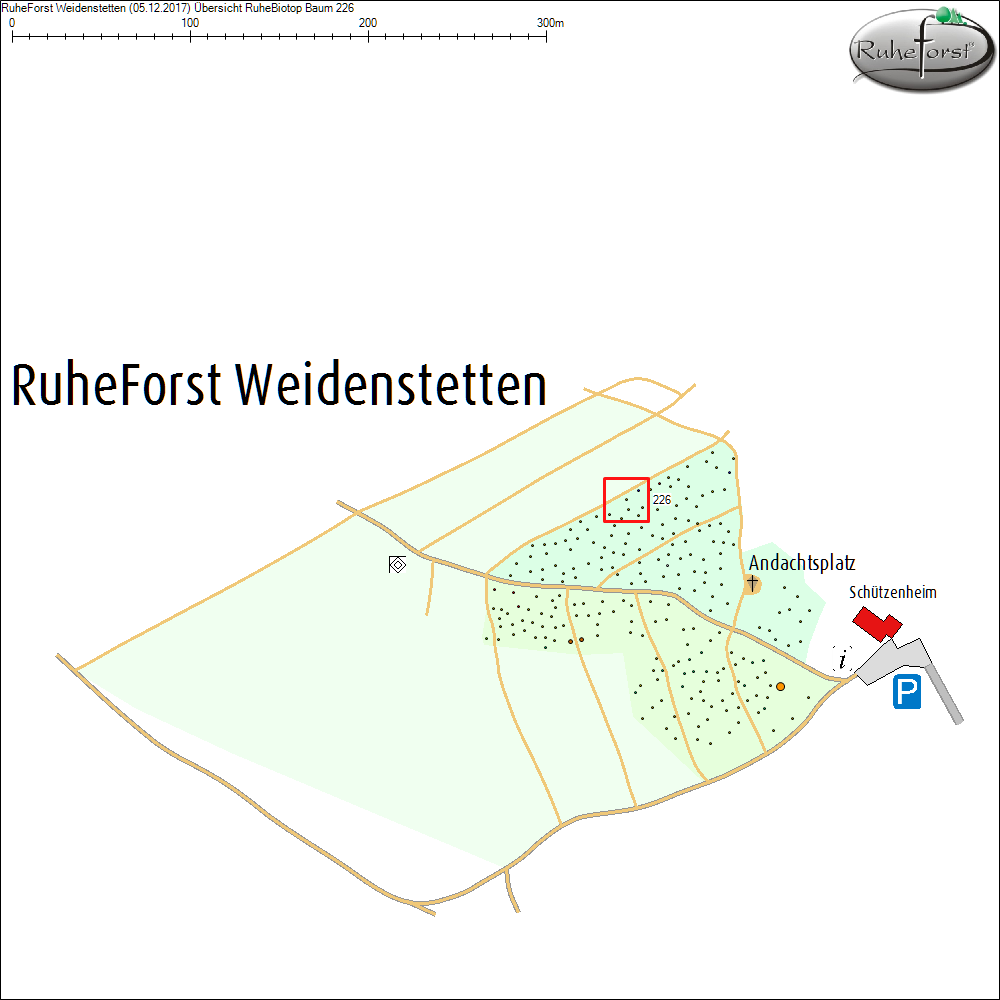 &Uuml;bersichtskarte zu Baum 226