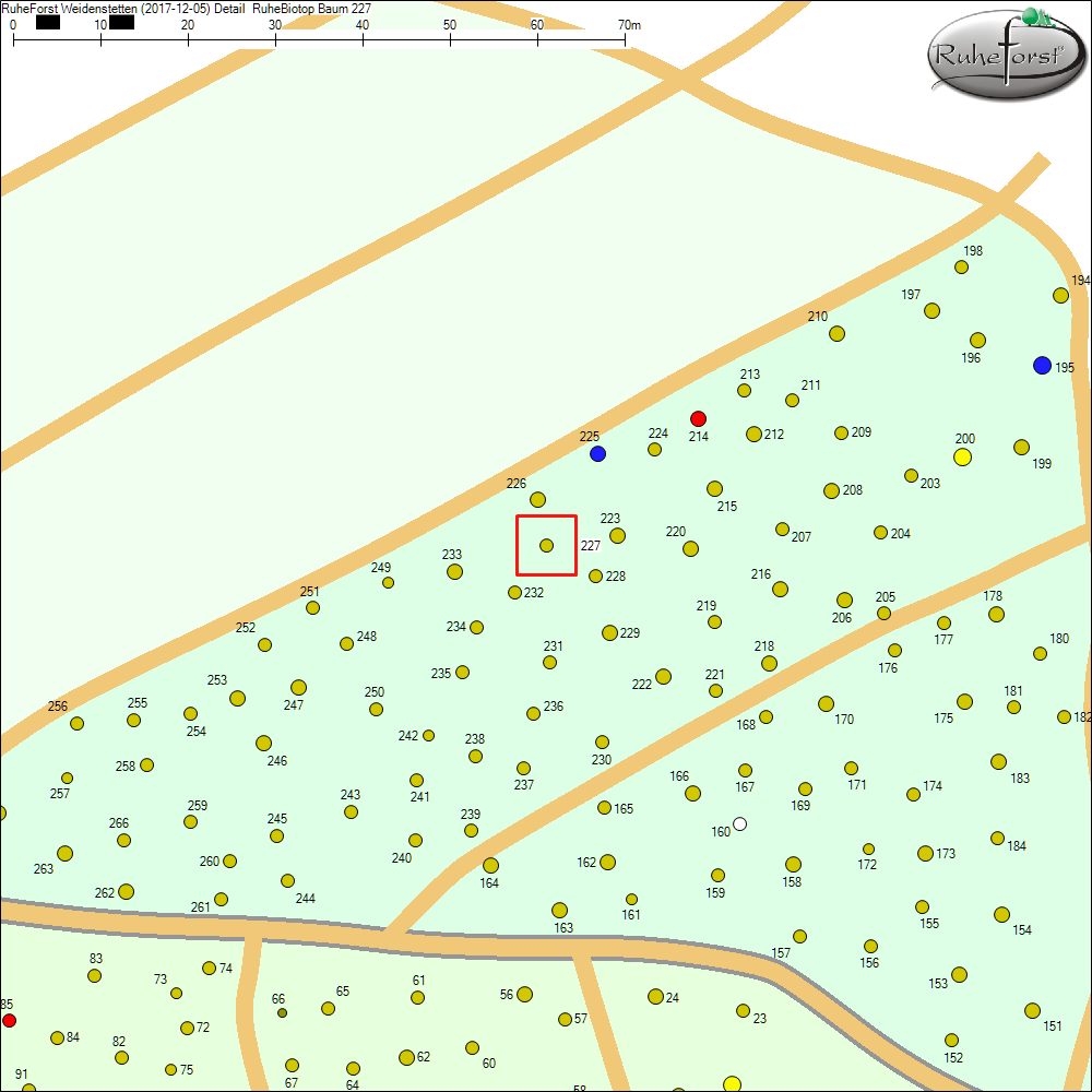 Detailkarte zu Baum 227