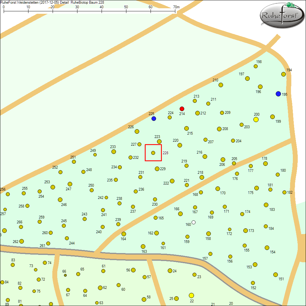 Detailkarte zu Baum 228