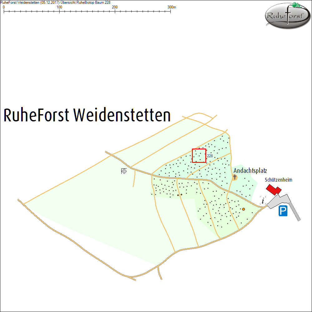 &Uuml;bersichtskarte zu Baum 228