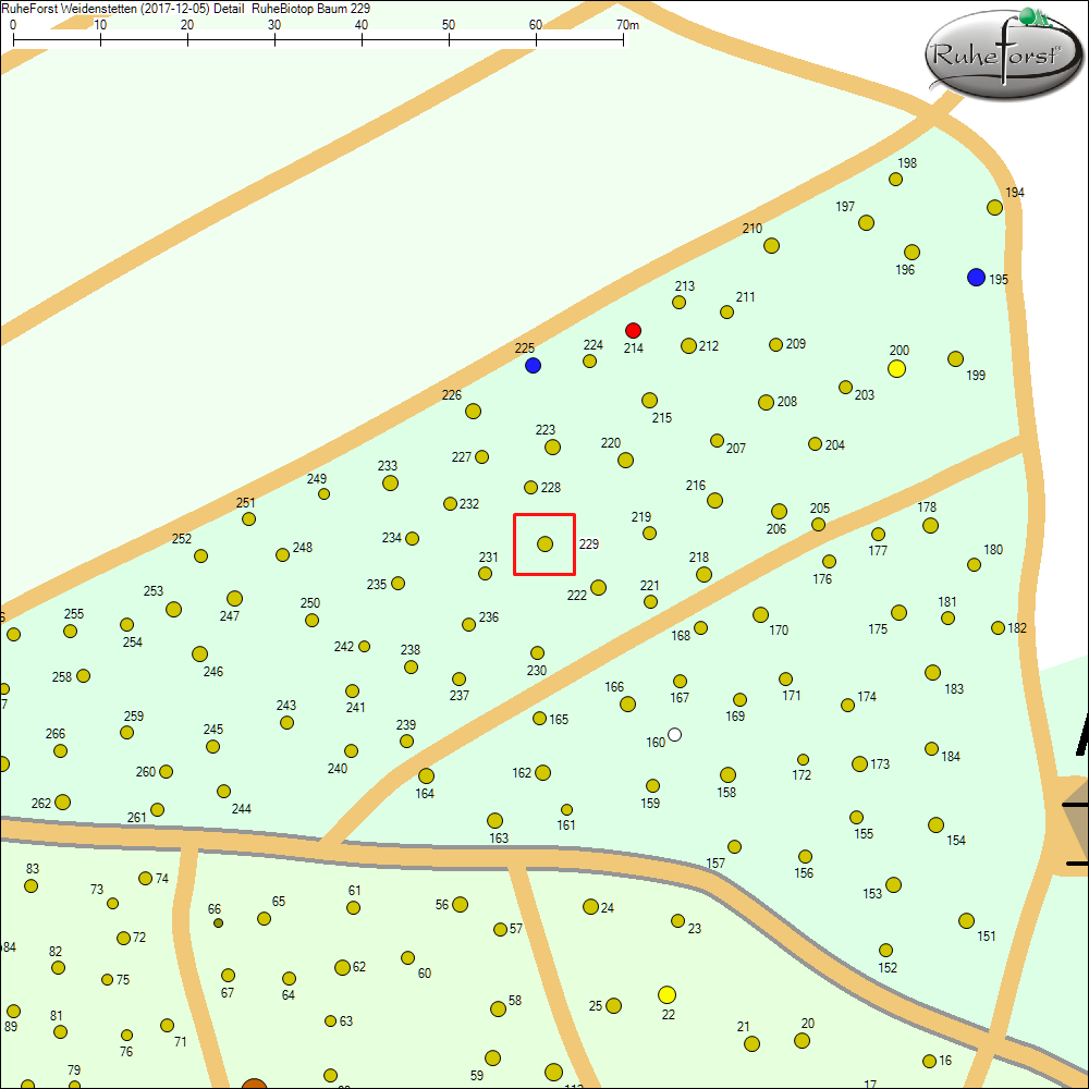 Detailkarte zu Baum 229