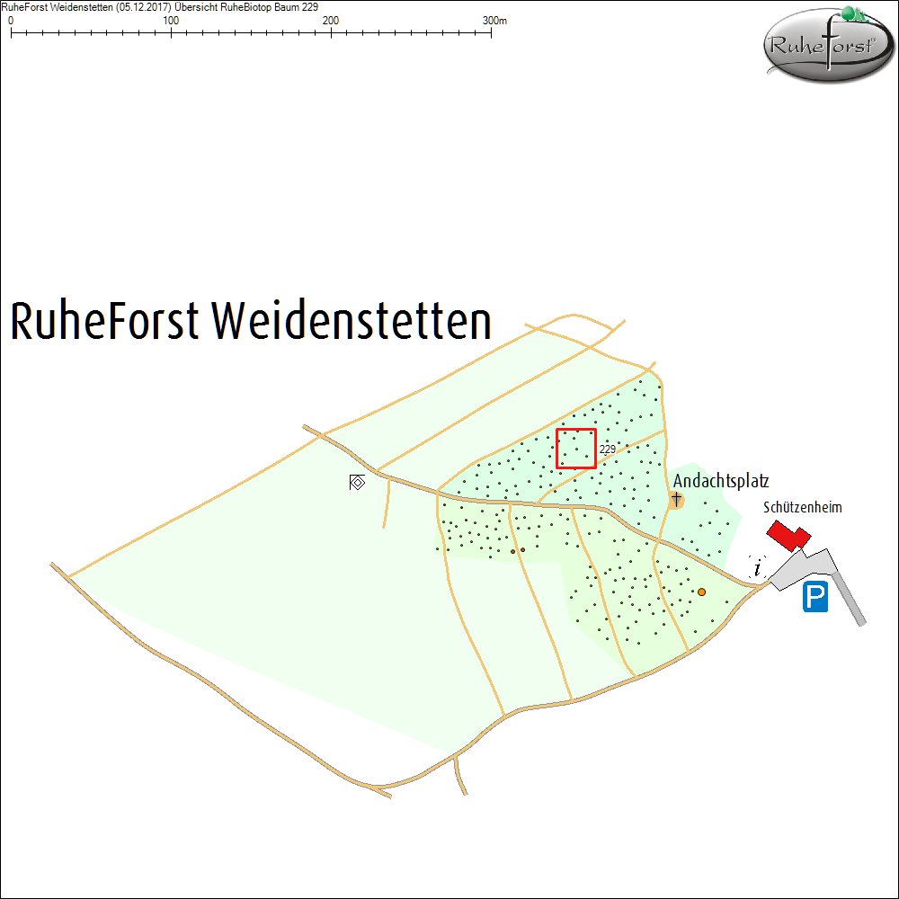 &Uuml;bersichtskarte zu Baum 229