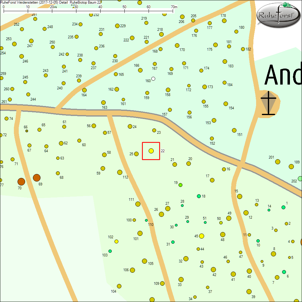 Detailkarte zu Baum 22