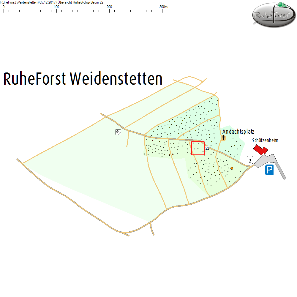 &Uuml;bersichtskarte zu Baum 22