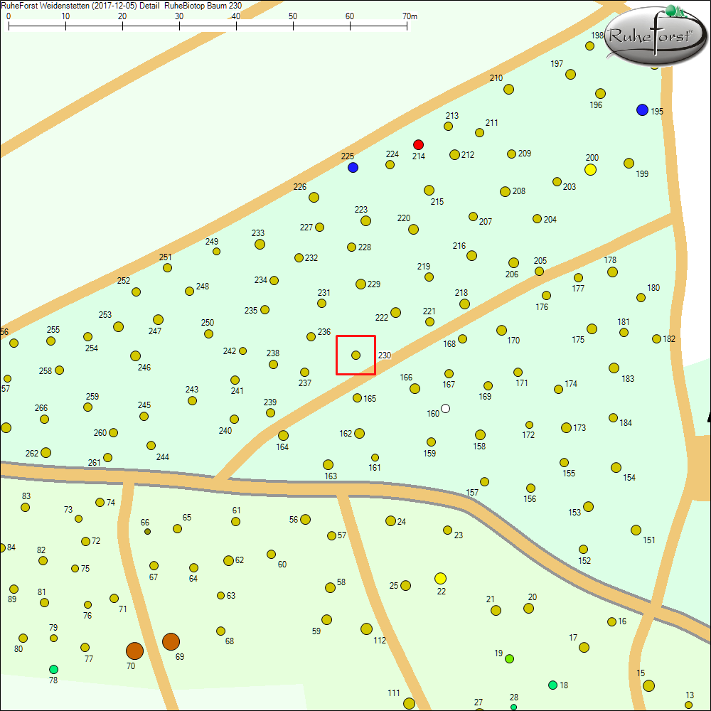Detailkarte zu Baum 230
