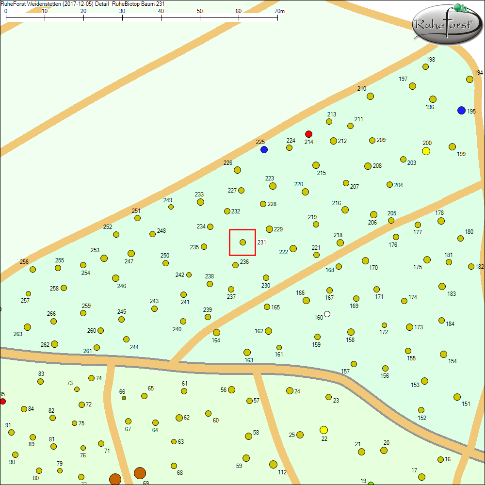 Detailkarte zu Baum 231