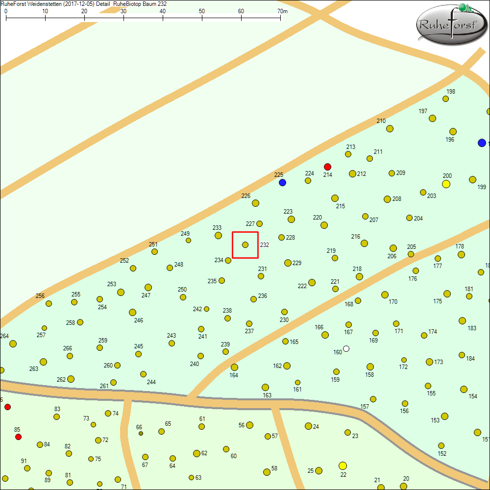 Detailkarte zu Baum 232