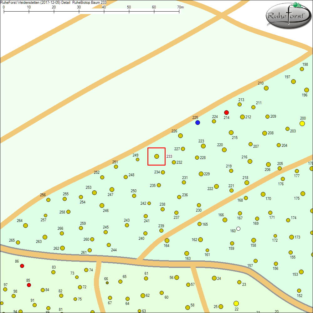 Detailkarte zu Baum 233