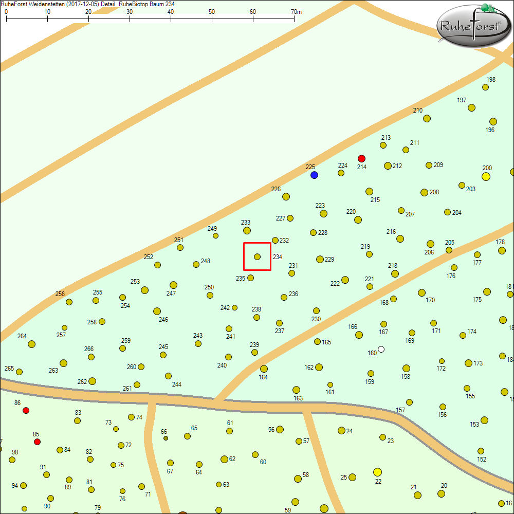 Detailkarte zu Baum 234
