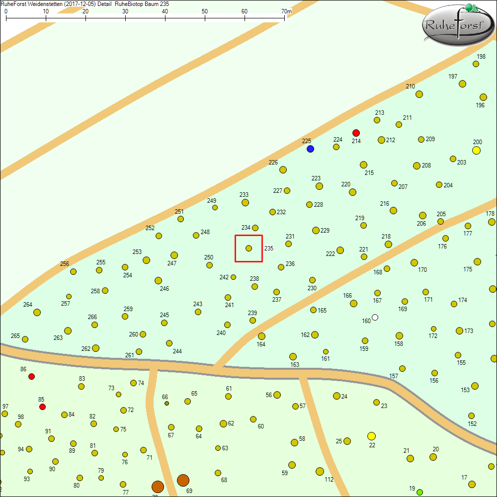 Detailkarte zu Baum 235