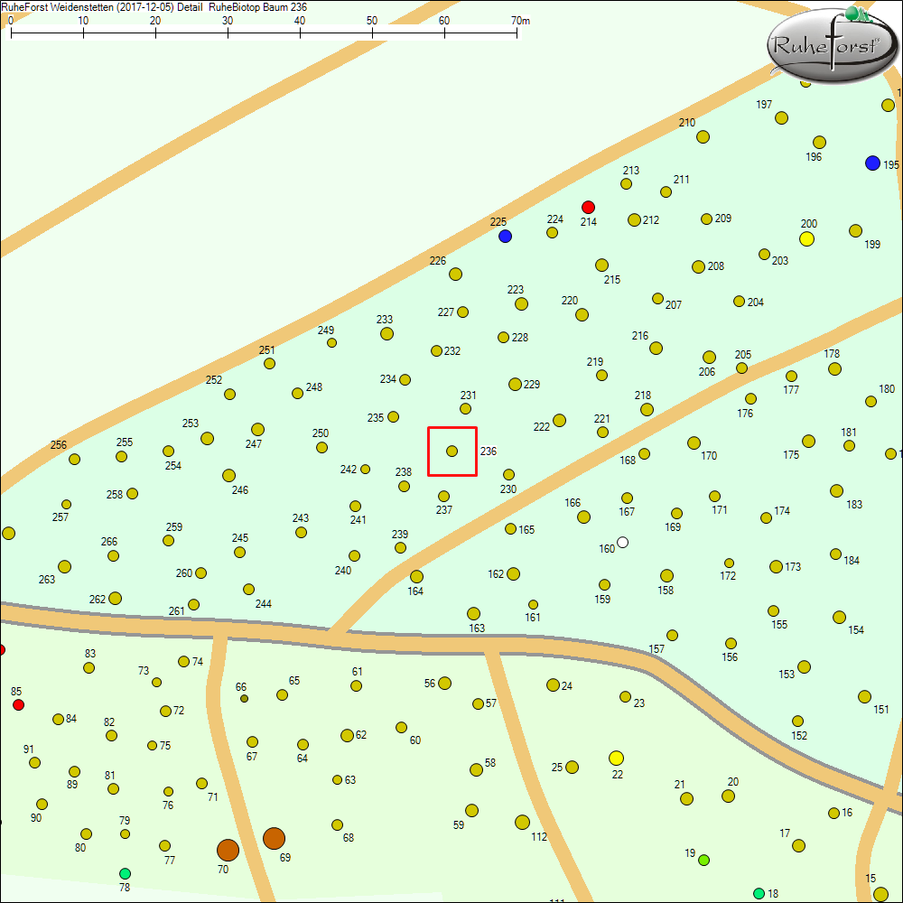 Detailkarte zu Baum 236