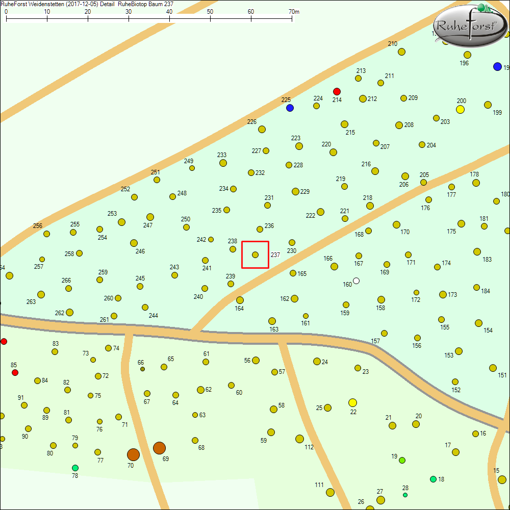 Detailkarte zu Baum 237