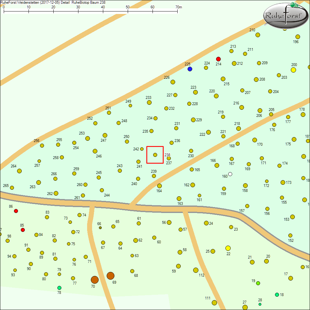 Detailkarte zu Baum 238