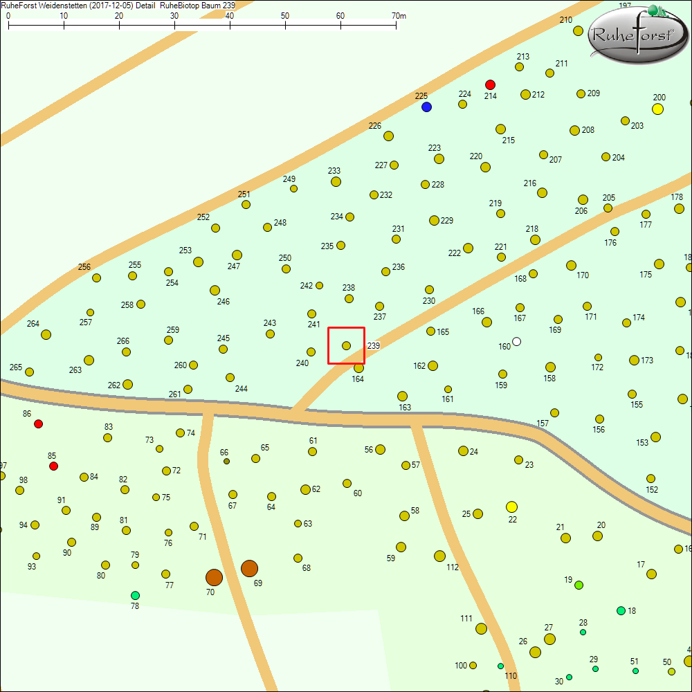 Detailkarte zu Baum 239