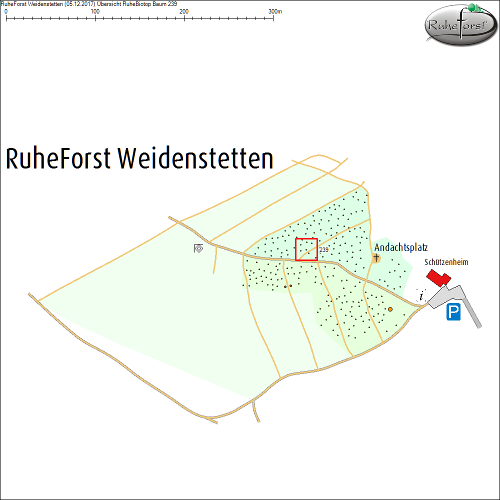 &Uuml;bersichtskarte zu Baum 239