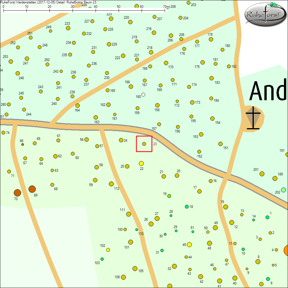 Detailkarte zu Baum 23