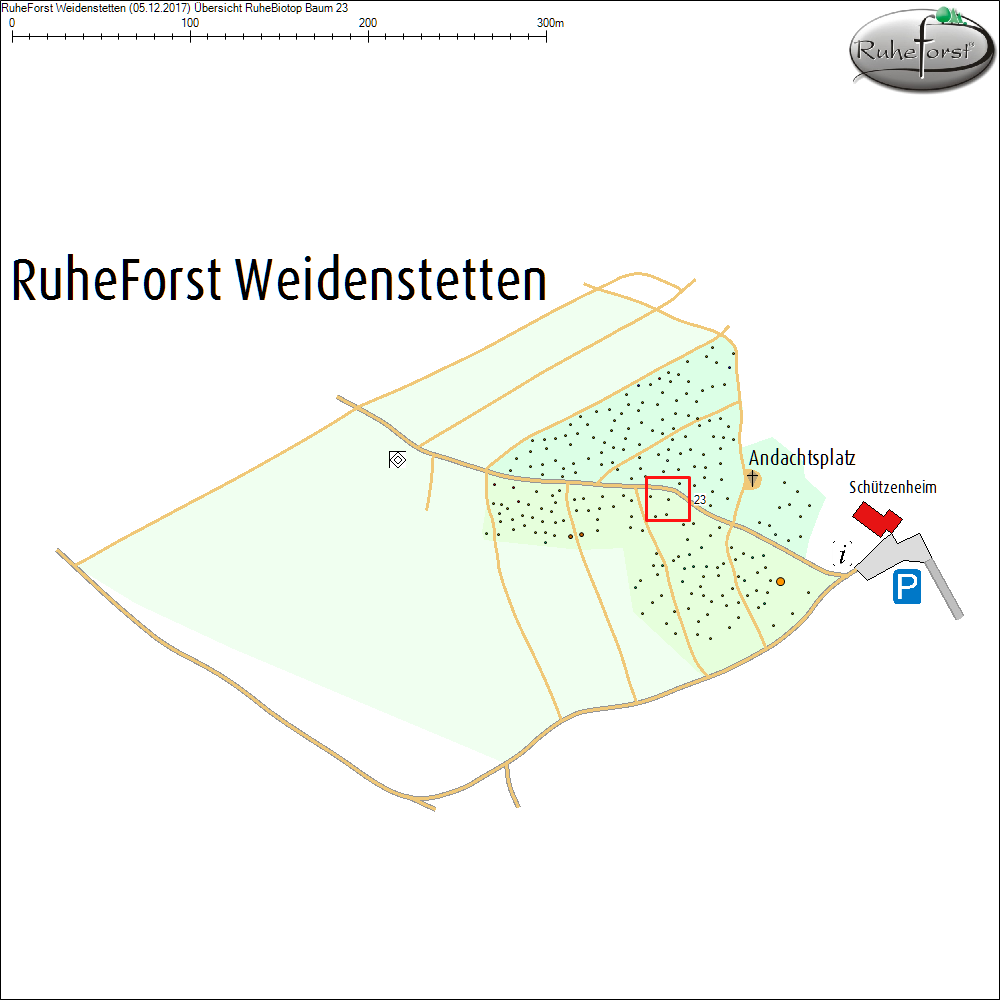 &Uuml;bersichtskarte zu Baum 23